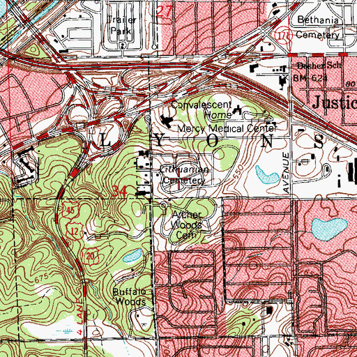 Topographic Map of Lithuanian National Cemetery, IL