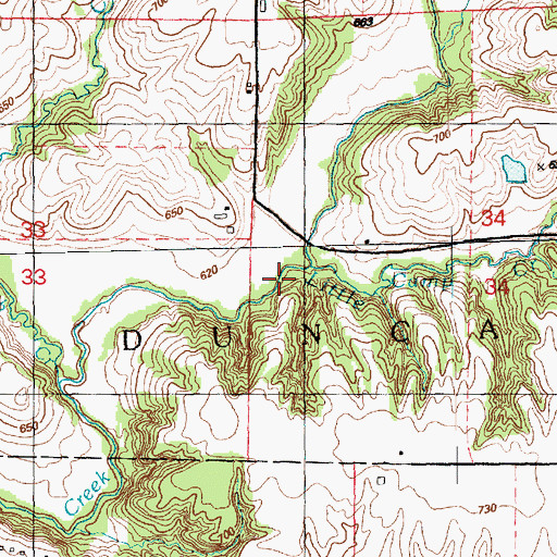 Topographic Map of Little Camp Creek, IL