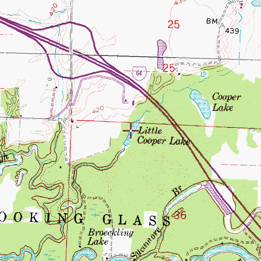 Topographic Map of Little Cooper Lake, IL