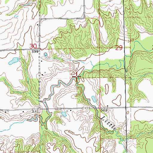 Topographic Map of Little Creek, IL