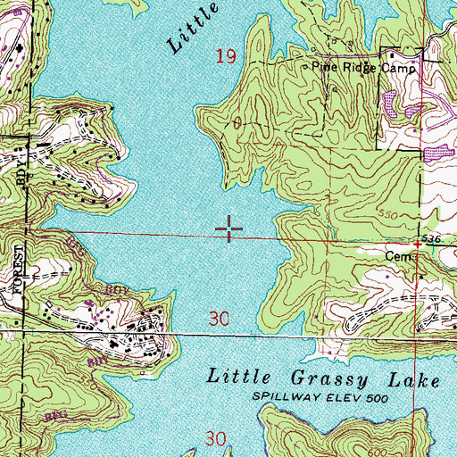 Topographic Map of Little Grassy Lake, IL