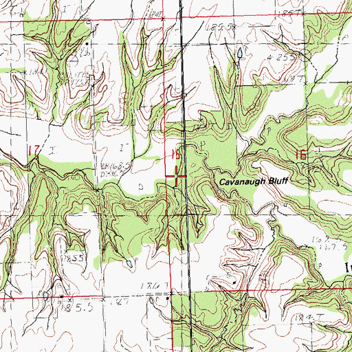 Topographic Map of Little Indian Creek, IL