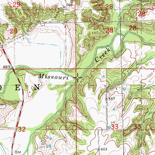 Topographic Map of Little Missouri Creek, IL
