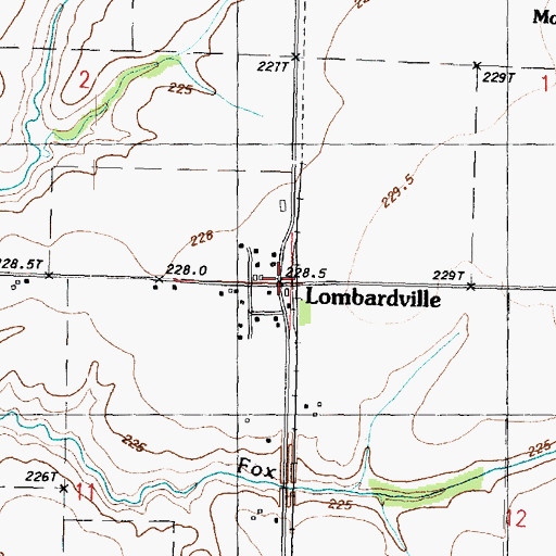 Topographic Map of Lombardville, IL