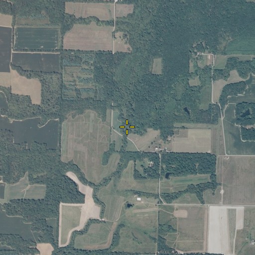 Aerial/Satellite Image of Lone Grove Branch, IL