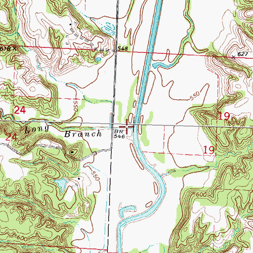 Topographic Map of Long Branch, IL