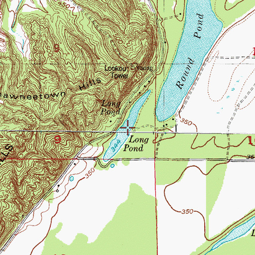Topographic Map of Long Pond, IL