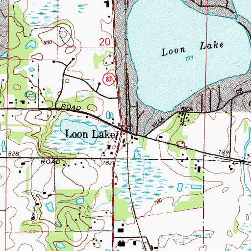 Topographic Map of Loon Lake, IL