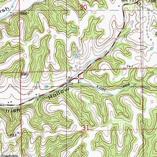 Topographic Map of Lost Hollow, IL