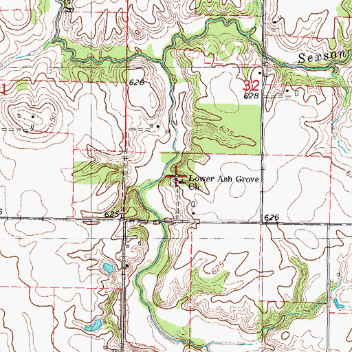 Topographic Map of Lower Ash Grove Church, IL