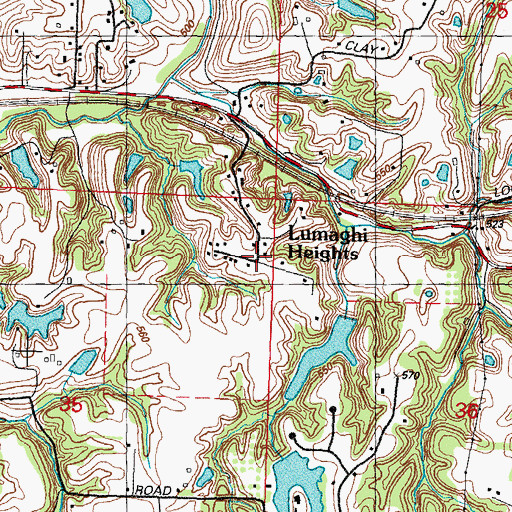 Topographic Map of Lumaghi Heights, IL