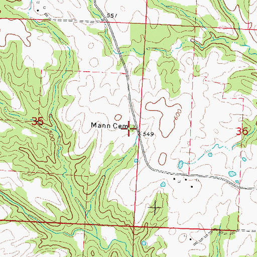 Topographic Map of Mann Cemetery, IL