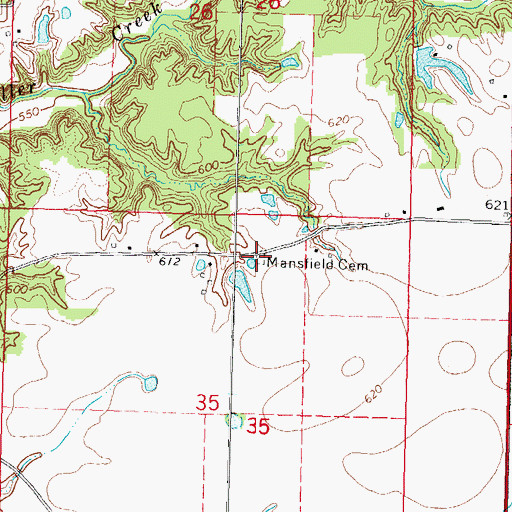 Topographic Map of Mansfield Cemetery, IL