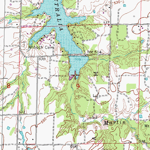 Topographic Map of Martin Branch, IL