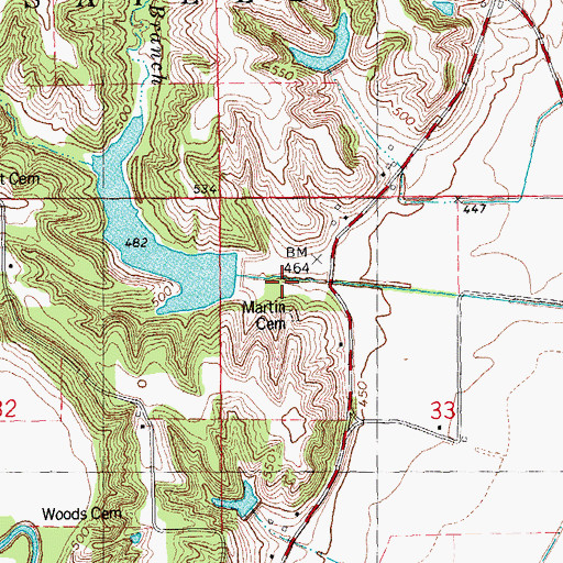 Topographic Map of Martin Branch, IL
