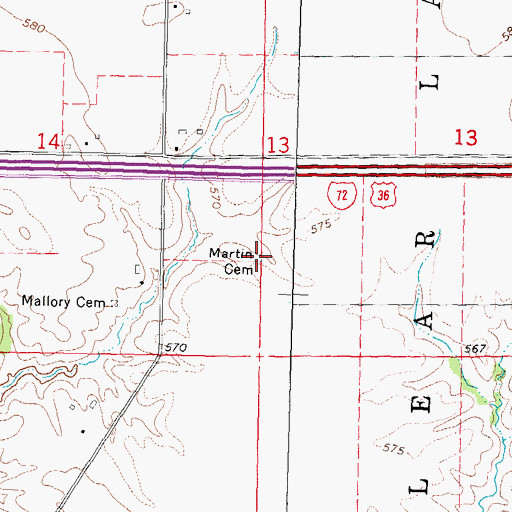 Topographic Map of Martin Cemetery, IL