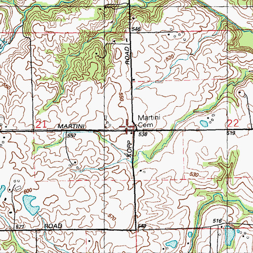 Topographic Map of Martini Cemetery, IL