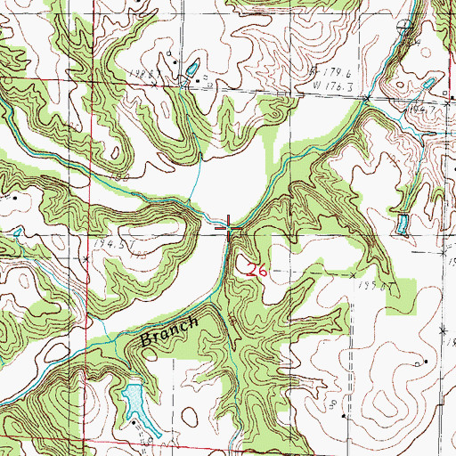 Topographic Map of Matney Branch, IL