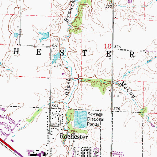 Topographic Map of McCoy Branch, IL