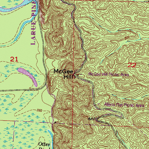 Topographic Map of McGee Hill, IL