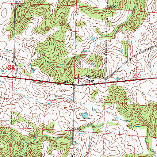 Topographic Map of McGinnis Cemetery, IL