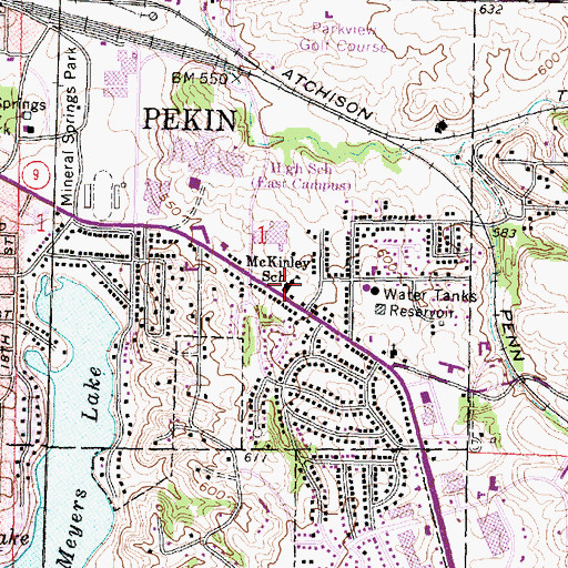 Topographic Map of McKinley School, IL