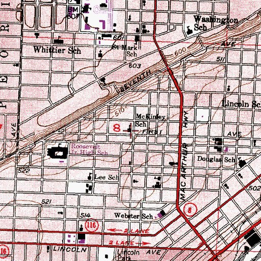 Topographic Map of McKinley School, IL