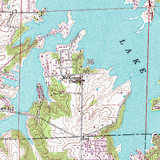 Topographic Map of McKinney Chapel, IL