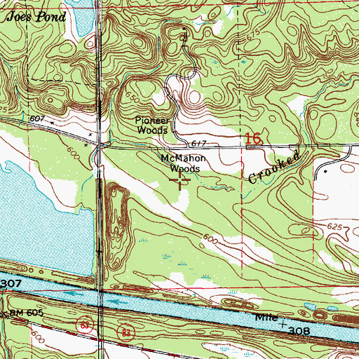 Topographic Map of McMahon Woods, IL