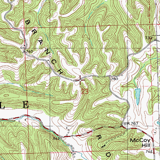Topographic Map of Meadow Branch Ridge, IL