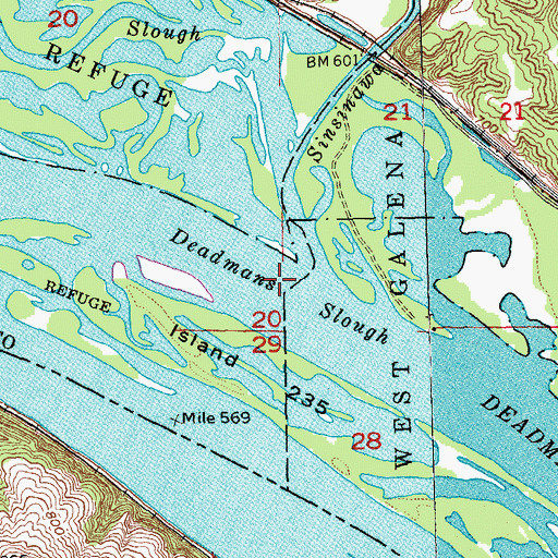 Topographic Map of Menominee Slough, IL