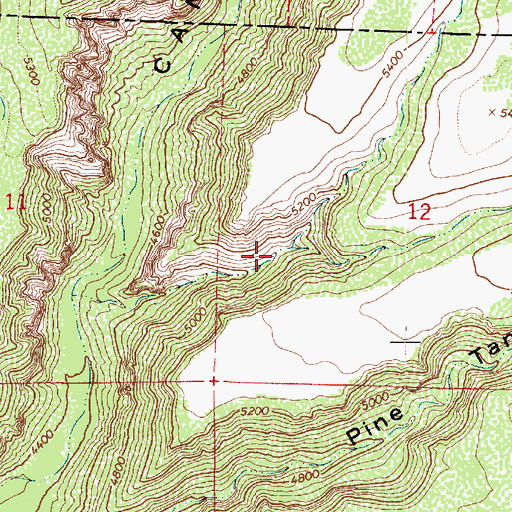 Topographic Map of Skeleton Tank, AZ