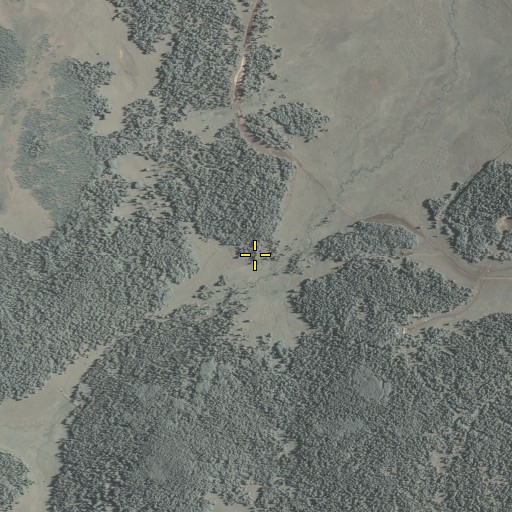 Aerial/Satellite Image of Phelps Forest Service Facility, AZ