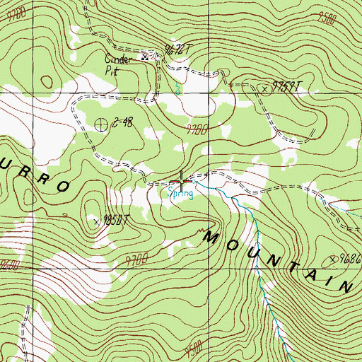 Topographic Map of Buckshot Spring, AZ
