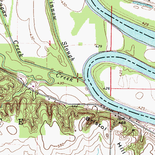 Topographic Map of Minnow Slough, IL