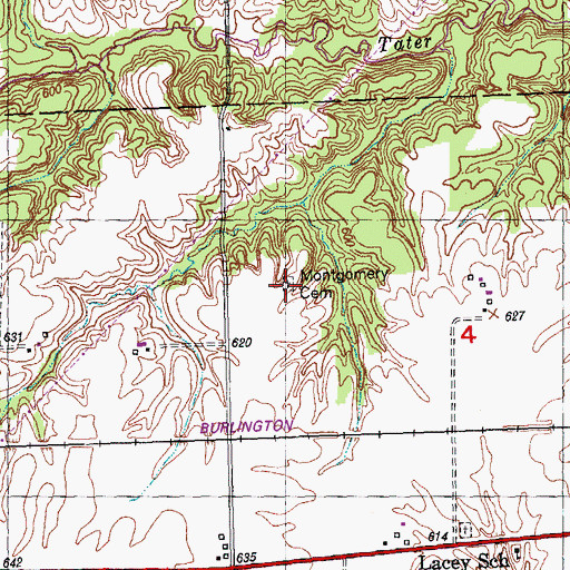 Topographic Map of Montgomery Cemetery, IL