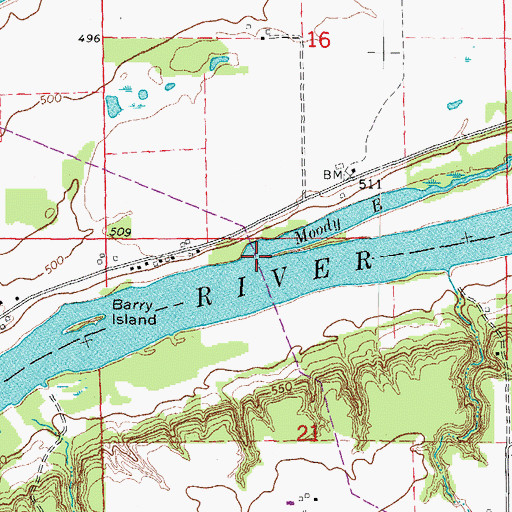 Topographic Map of Moody Bayou, IL