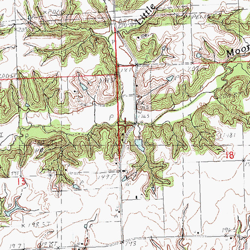 Topographic Map of Mooney Branch, IL
