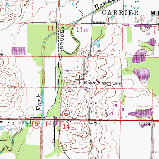 Topographic Map of Moore-Vinson Family Cemetery, IL