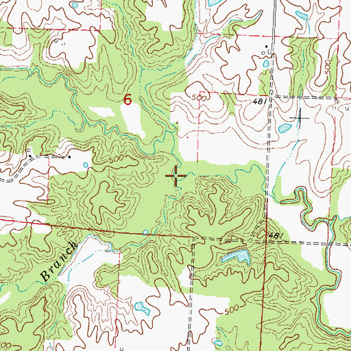 Topographic Map of Moores Branch, IL