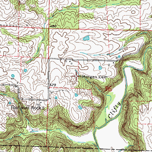 Topographic Map of Morgan Cemetery, IL