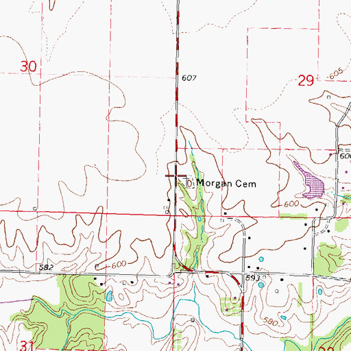 Topographic Map of Morgan Cemetery, IL