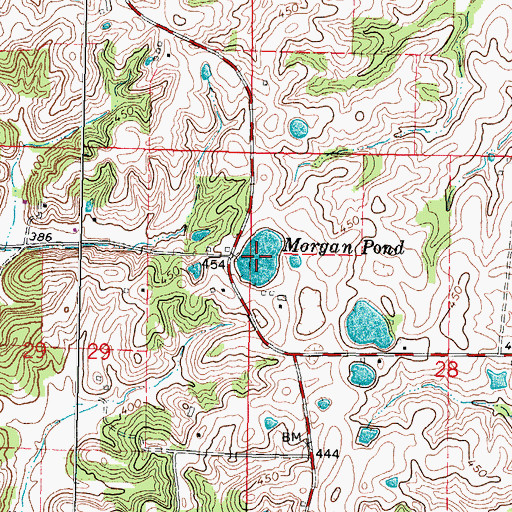 Topographic Map of Morgan Pond, IL