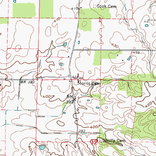 Topographic Map of Morris Cemetery, IL