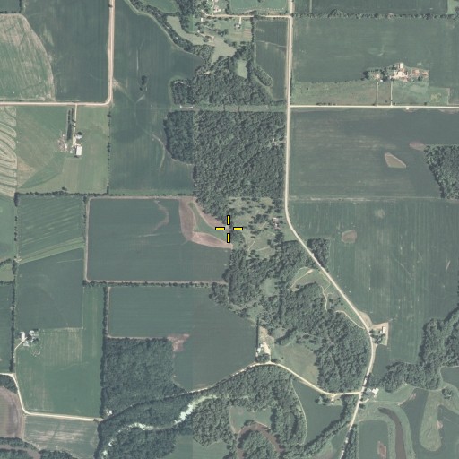 Aerial/Satellite Image of Morrison Spring Branch, IL