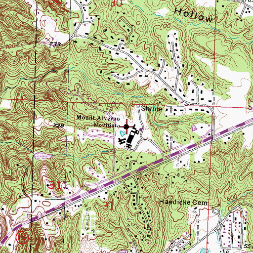 Topographic Map of Mount Alerno Novitiate, IL