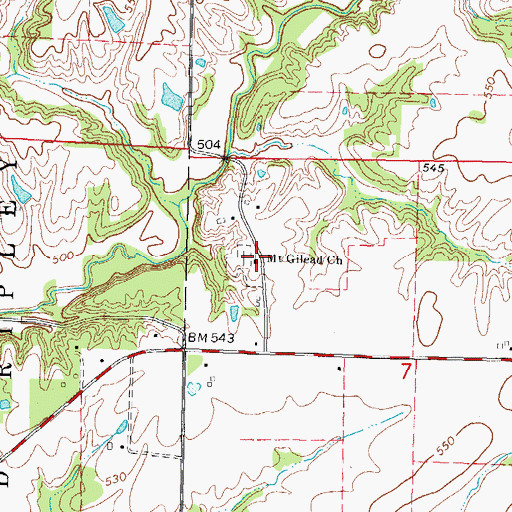 Topographic Map of Mount Gilead Church, IL