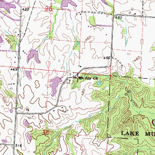 Topographic Map of Mount Joy Church, IL