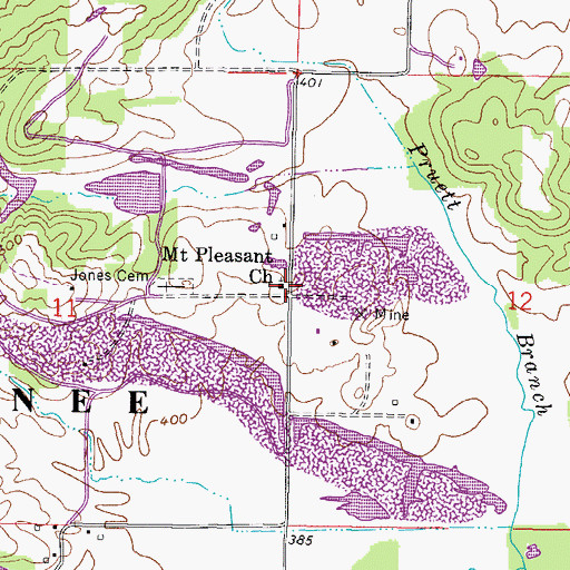 Topographic Map of Mount Pleasant Church, IL