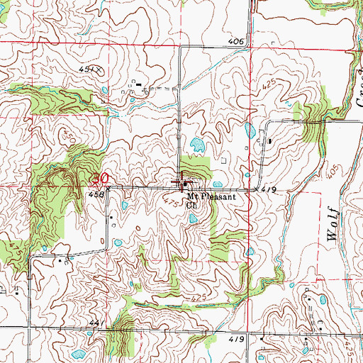 Topographic Map of Mount Pleasant Church, IL